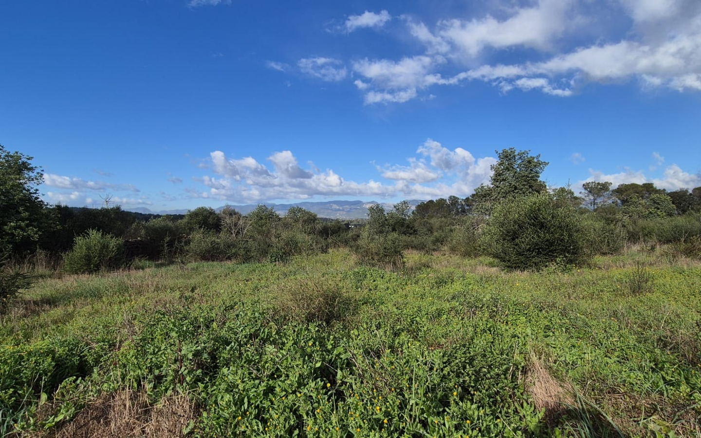 Land In Costitx, Spain (74 M²)