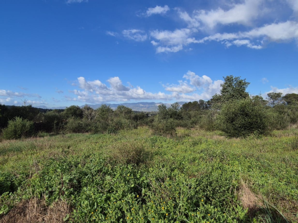 Land In Costitx, Spain (74 M²)