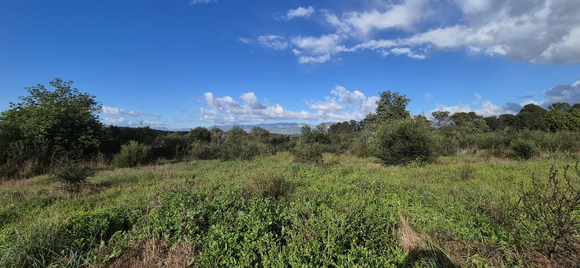 Land In Costitx, Spain (74 M²)
