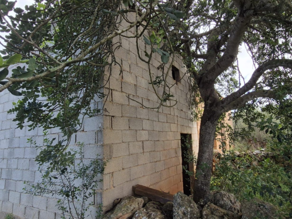 Land In Costitx, Spain (74 M²)