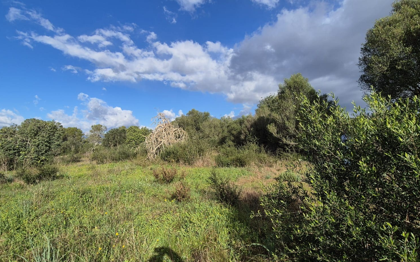 Land In Costitx, Spain (74 M²)