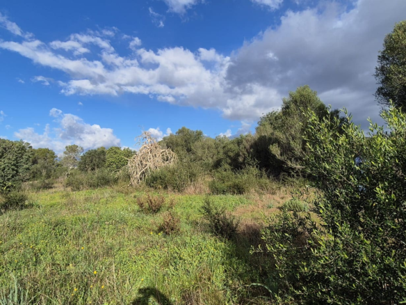 Land In Costitx, Spain (74 M²)