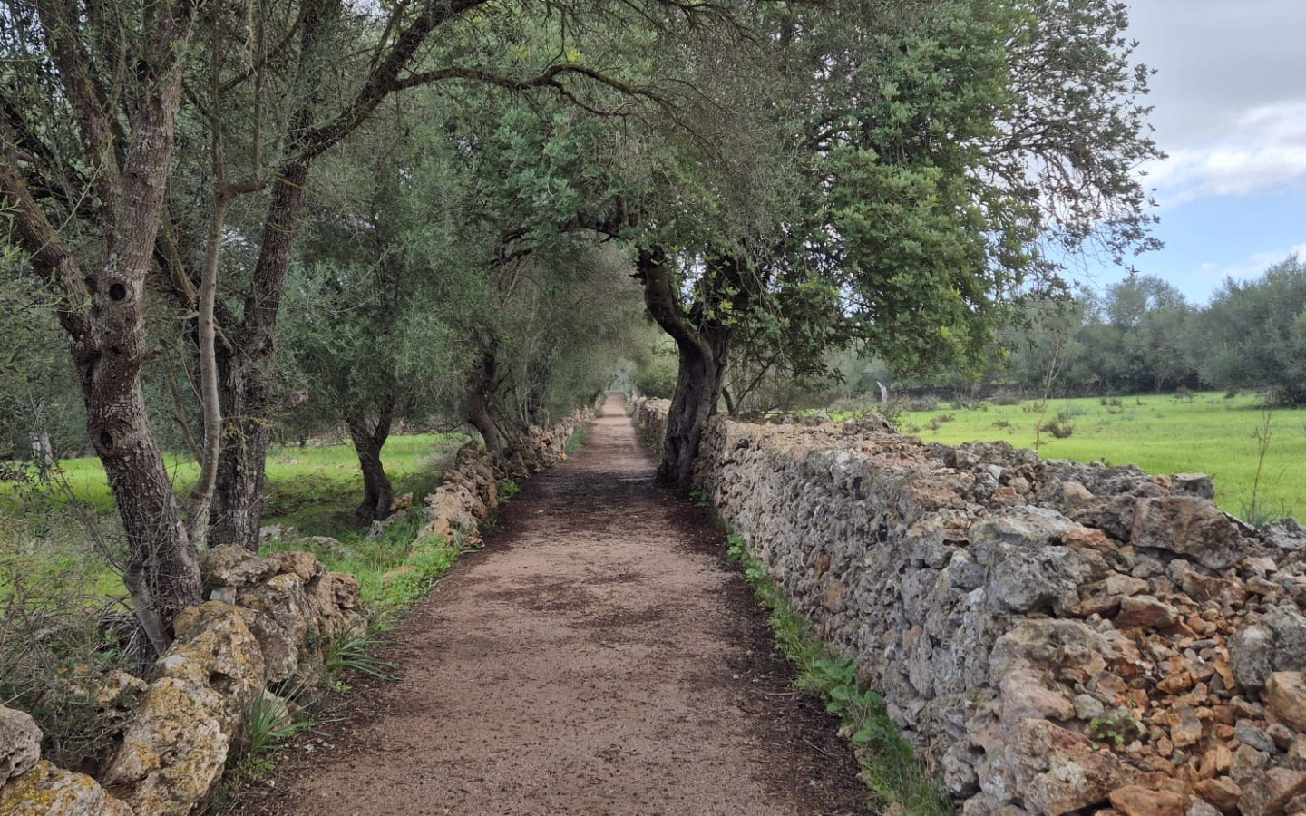 Land In Costitx, Spain (74 M²)