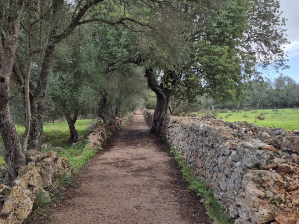 Land In Costitx, Spain (74 M²)