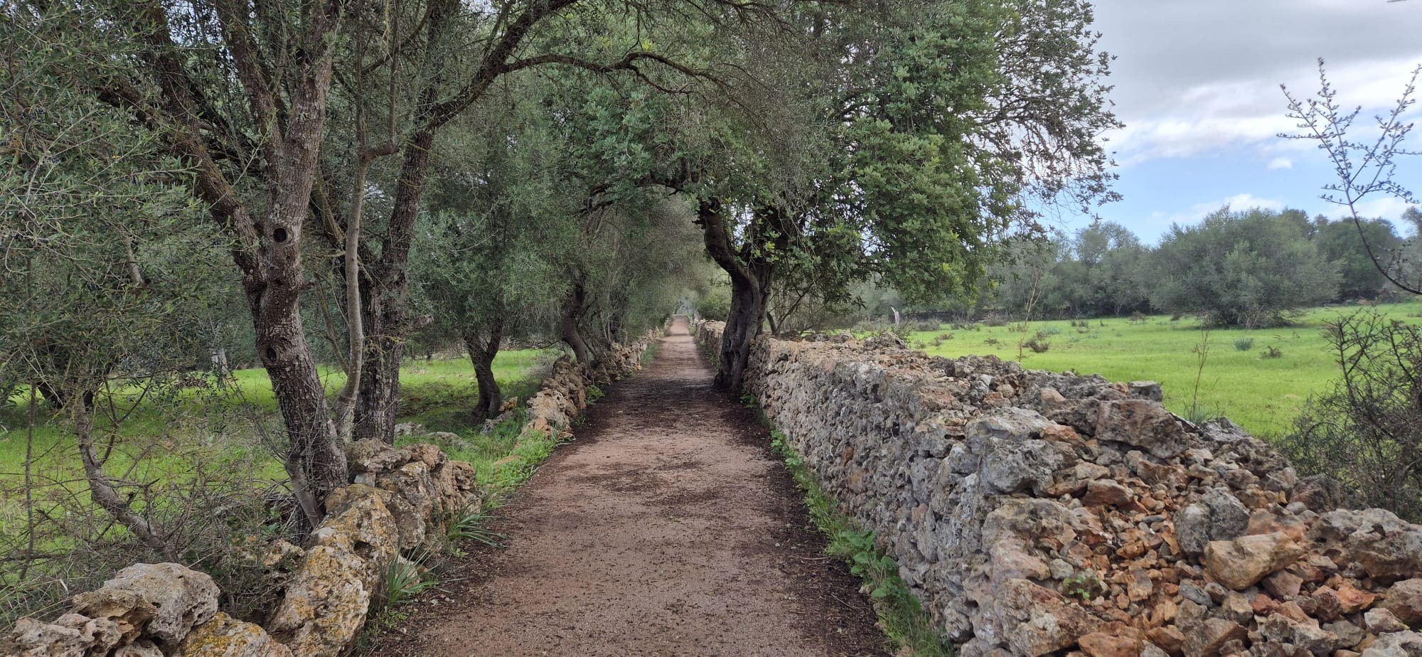 Land In Costitx, Spain (74 M²)