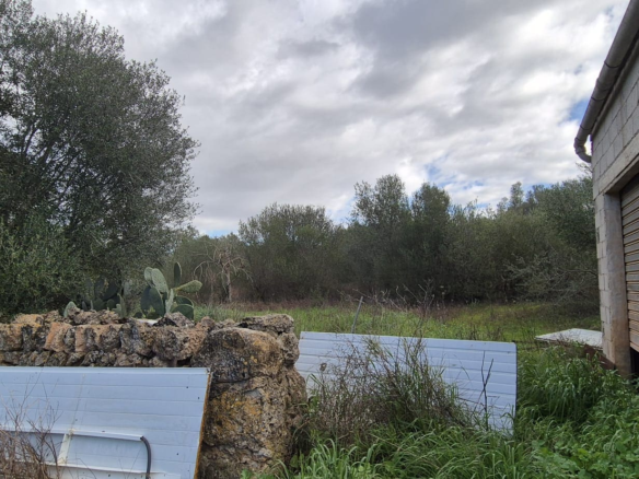 Land In Costitx, Spain (74 M²)