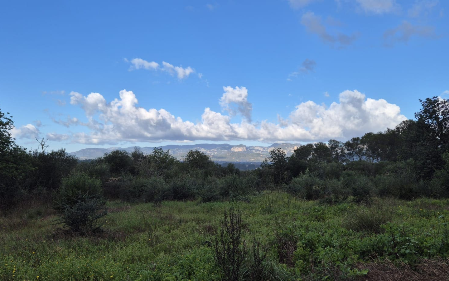 Land In Costitx, Spain (74 M²)