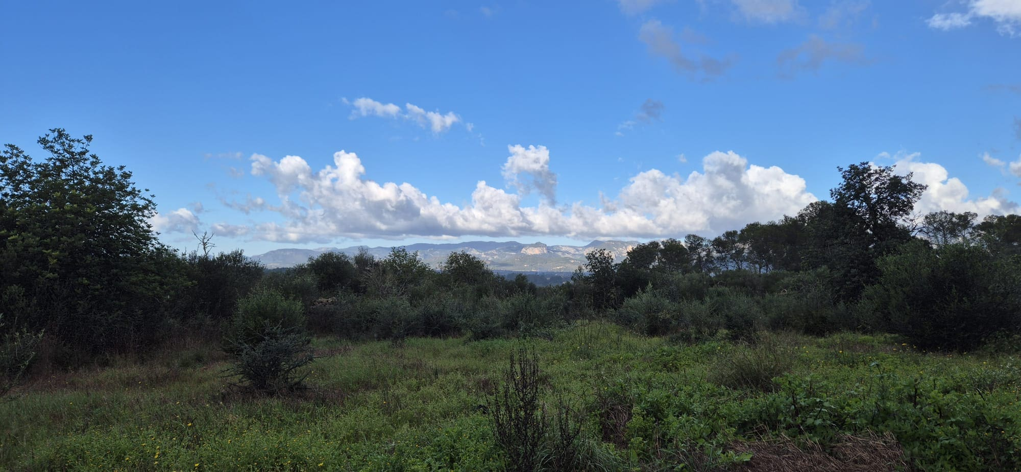 Land In Costitx, Spain (74 M²)