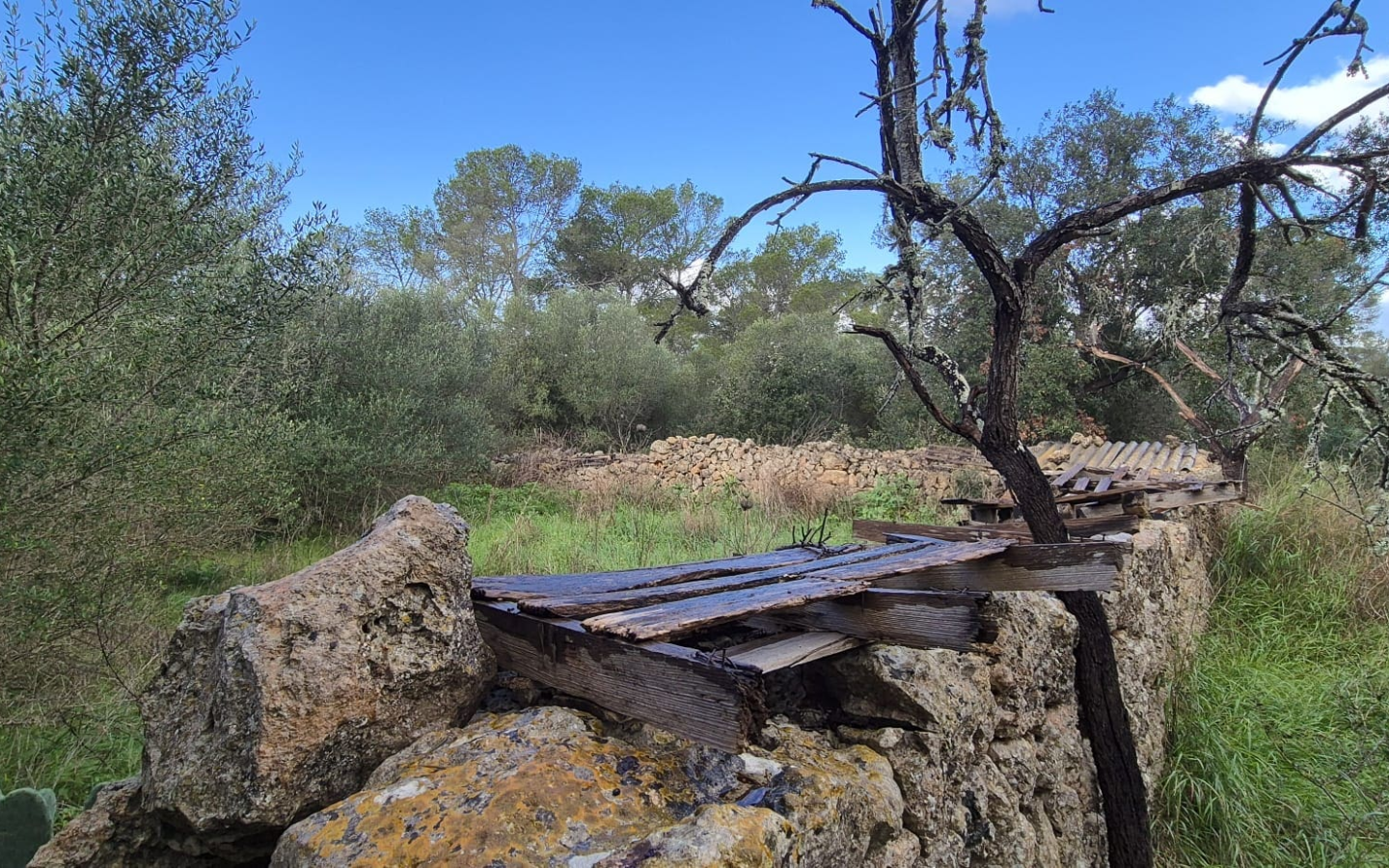 Land In Costitx, Spain (74 M²)