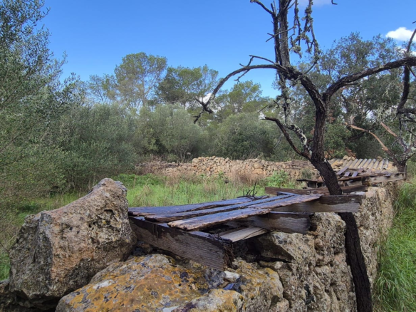Land In Costitx, Spain (74 M²)