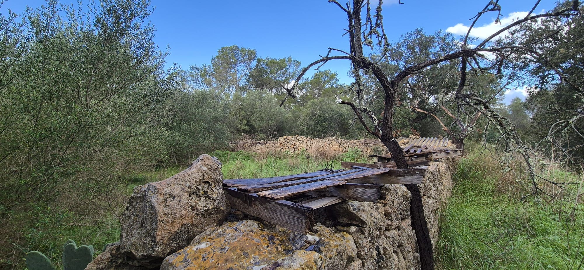 Land In Costitx, Spain (74 M²)