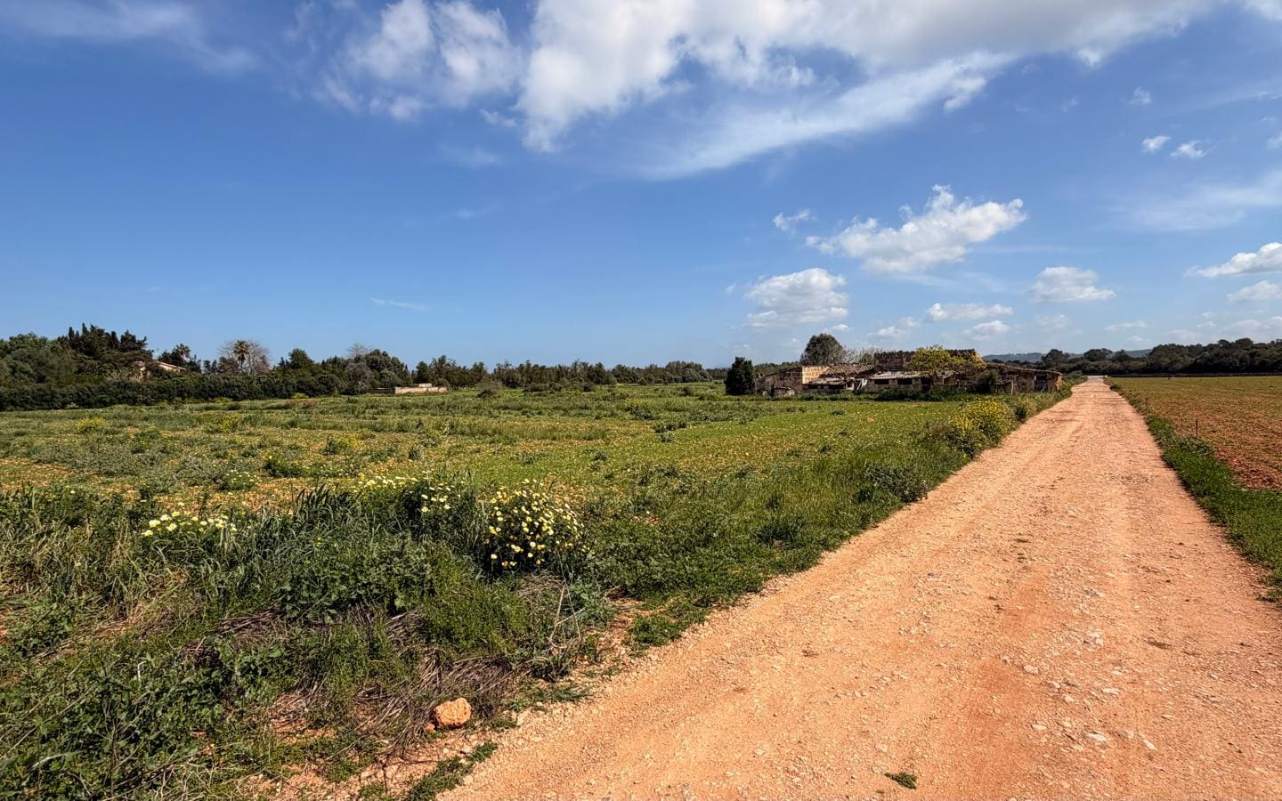 7-bedroom Villa In Llubi, Spain (422 M²)