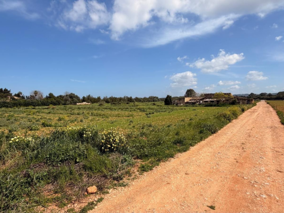 7-bedroom Villa In Llubi, Spain (422 M²)