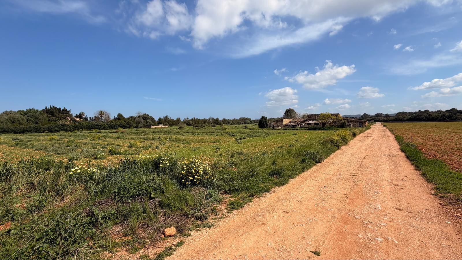 Parcela-Llubi-22.000m226-250557 7-bedroom Villa In Llubi, Spain (422 M²)