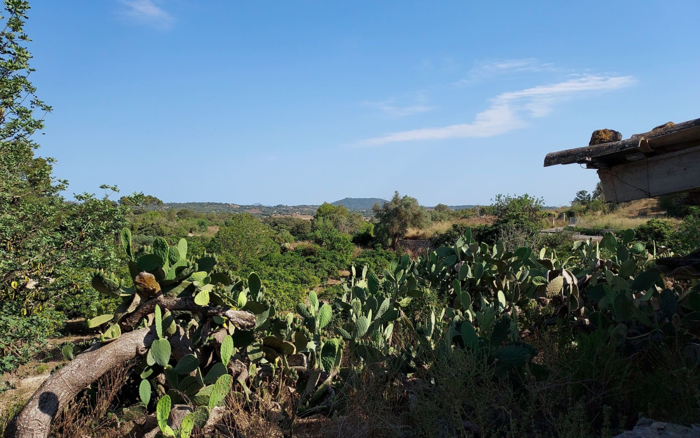 Land In Maria De La Salut, Spain (141 M²)