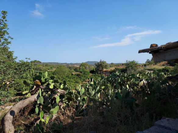 Land In Maria De La Salut, Spain (141 M²)