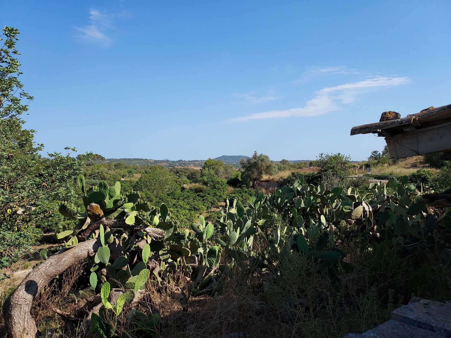 Parcela-Maria-de-la-Salut-01-a29686 Land In Maria De La Salut, Spain (141 M²)