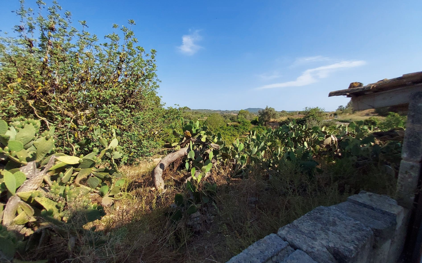 Land In Maria De La Salut, Spain (141 M²)