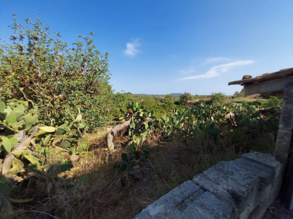 Land In Maria De La Salut, Spain (141 M²)