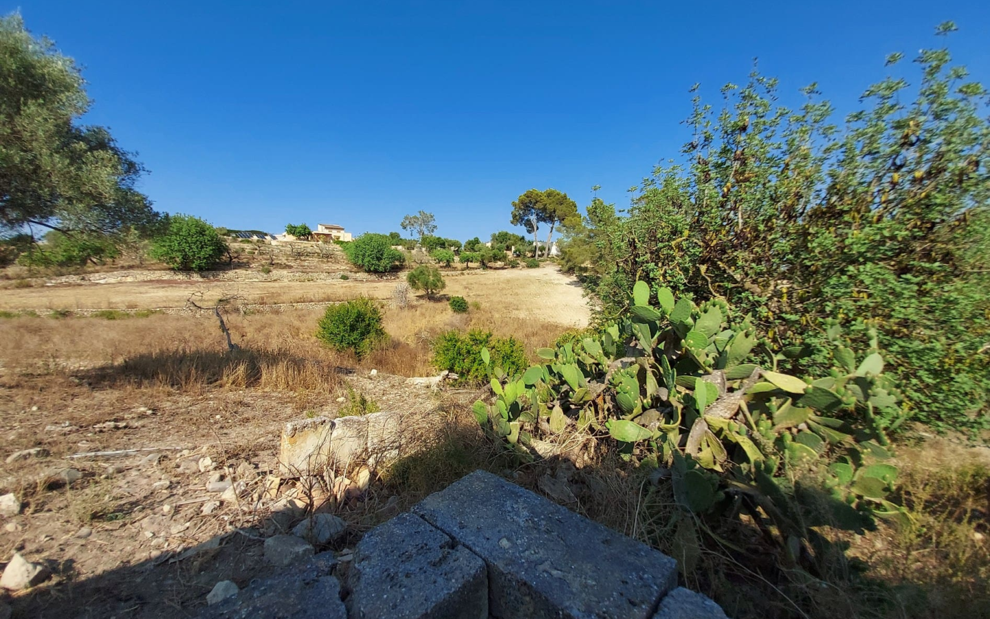 Land In Maria De La Salut, Spain (141 M²)