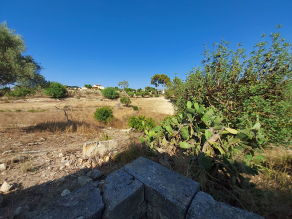 Land In Maria De La Salut, Spain (141 M²)