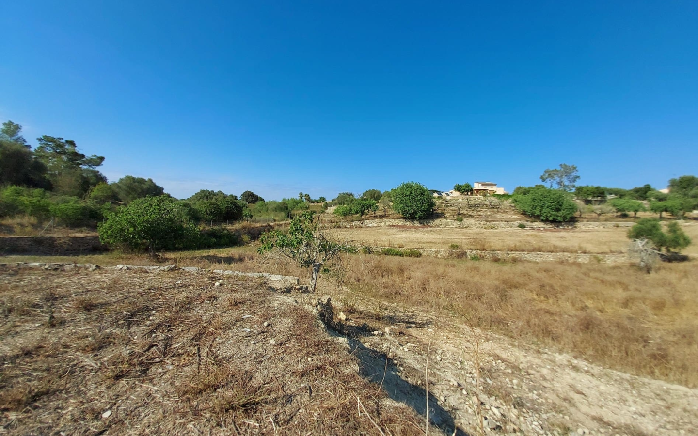 Land In Maria De La Salut, Spain (141 M²)