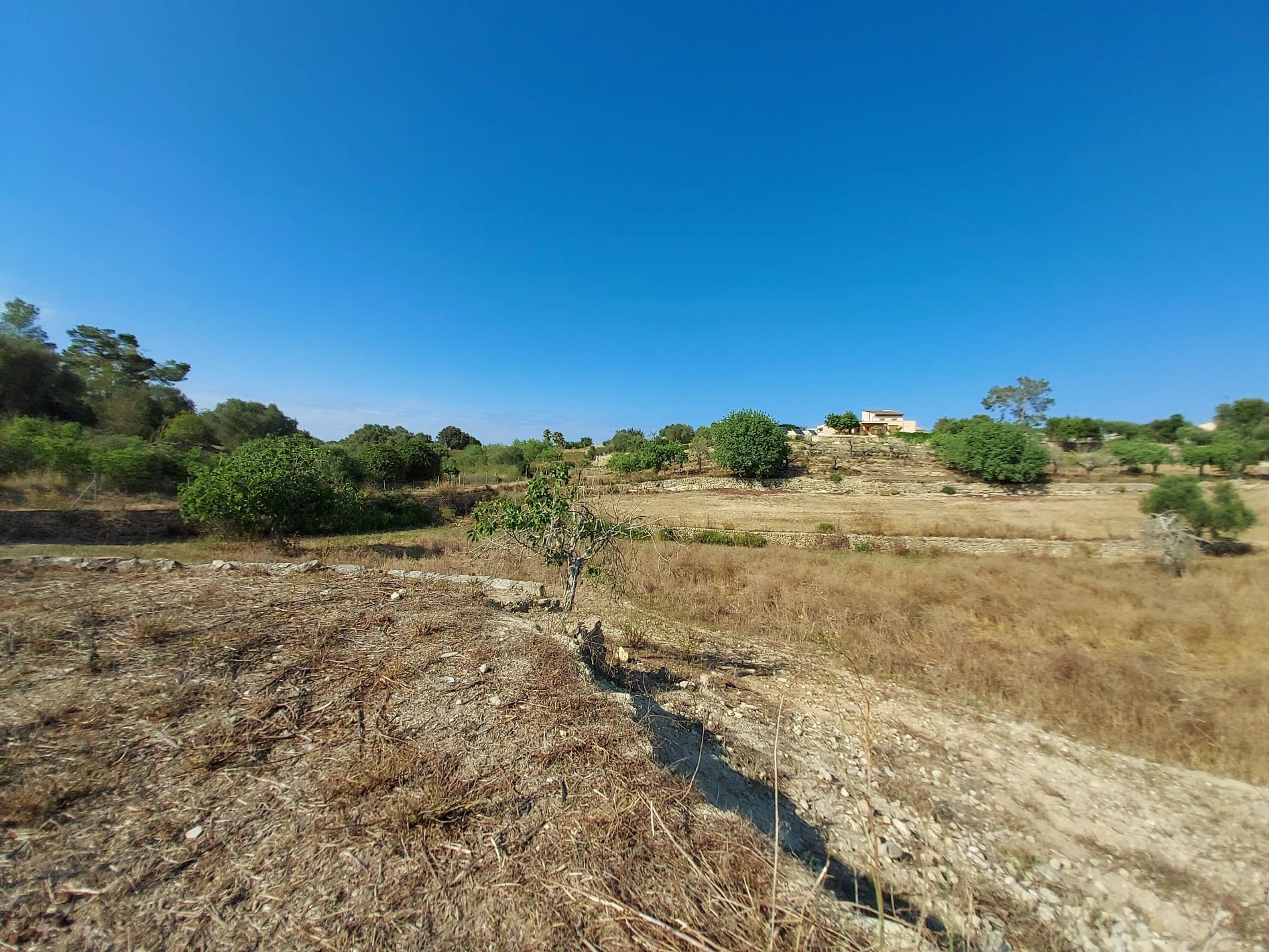 Parcela-Maria-de-la-Salut-04-a9a5ee Land In Maria De La Salut, Spain (141 M²)