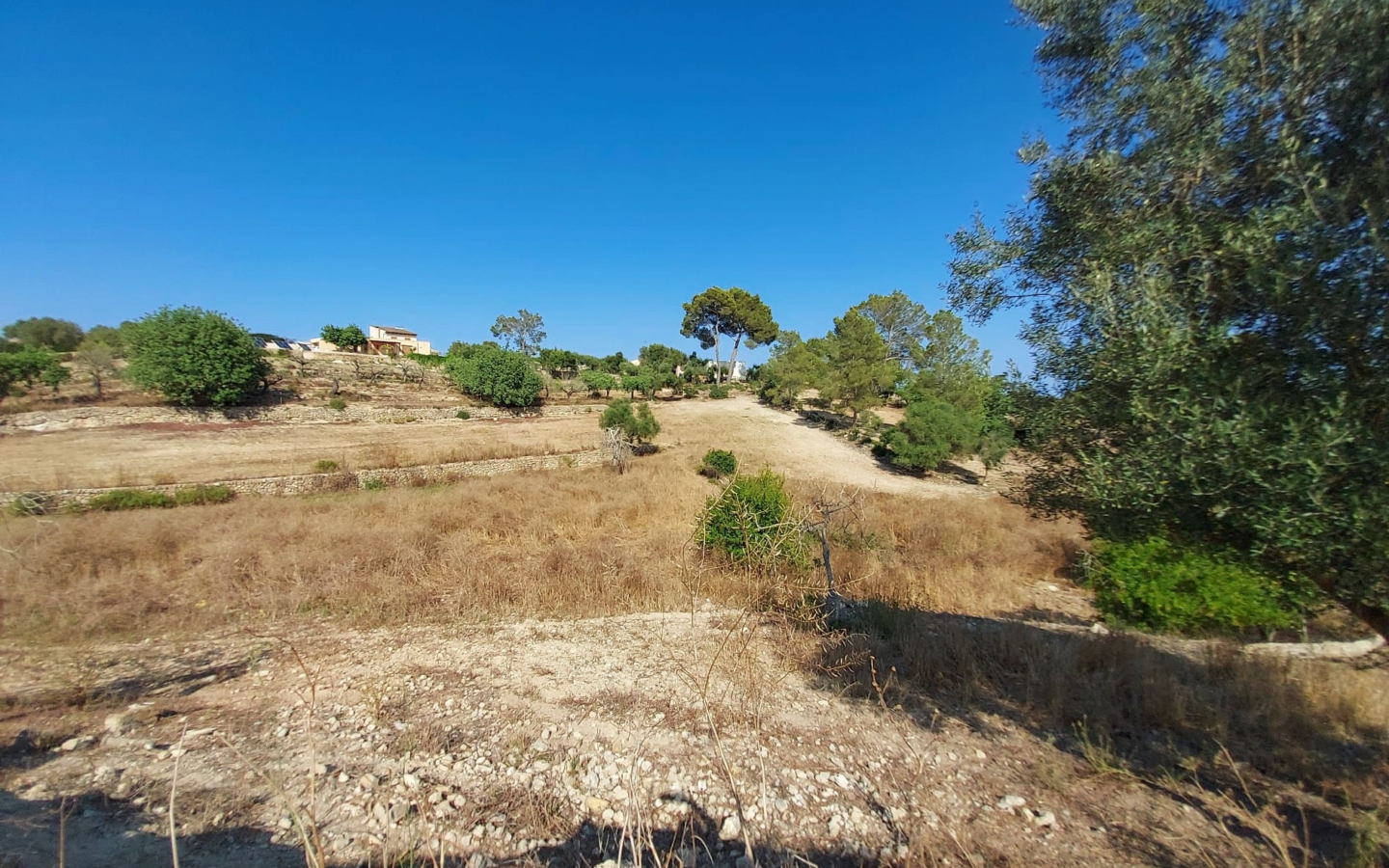 Land In Maria De La Salut, Spain (141 M²)
