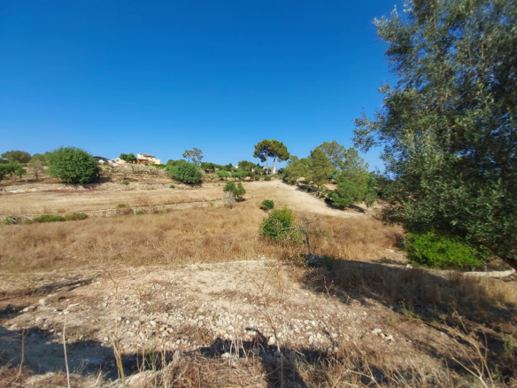 Land In Maria De La Salut, Spain (141 M²)