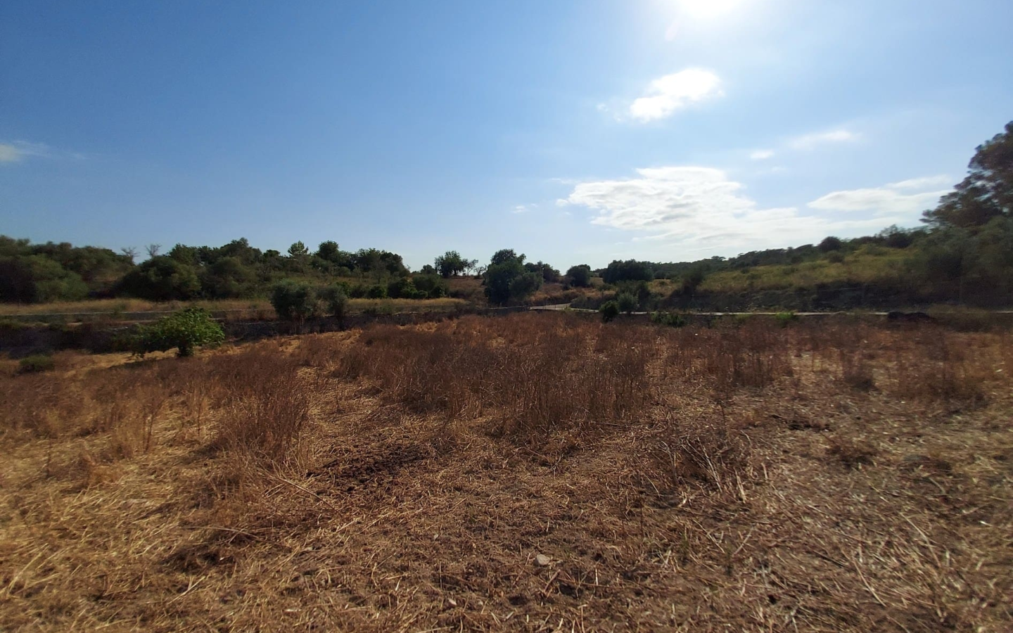 Land In Maria De La Salut, Spain (141 M²)