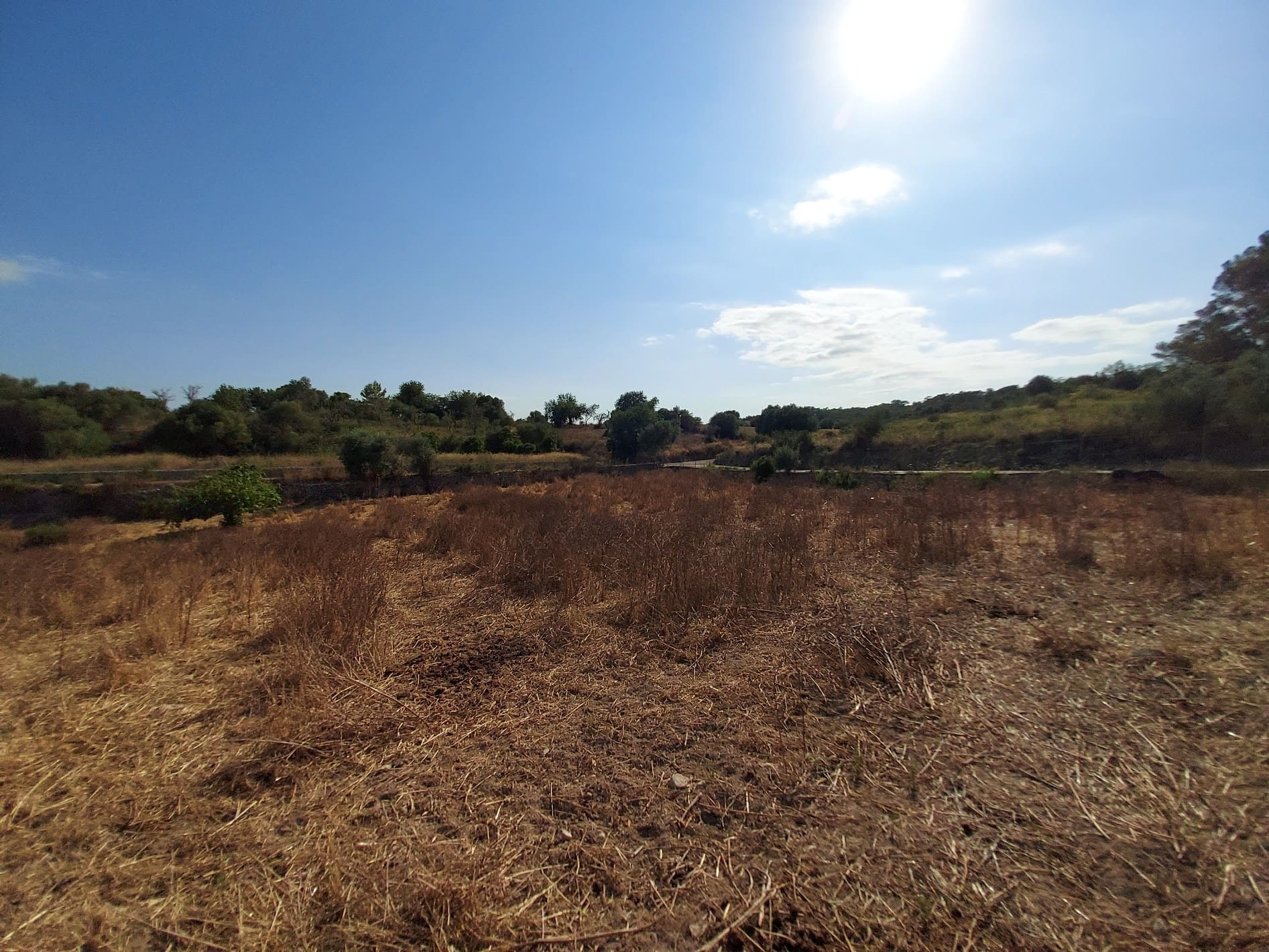 Parcela-Maria-de-la-Salut-08-e9ed13 Land In Maria De La Salut, Spain (141 M²)
