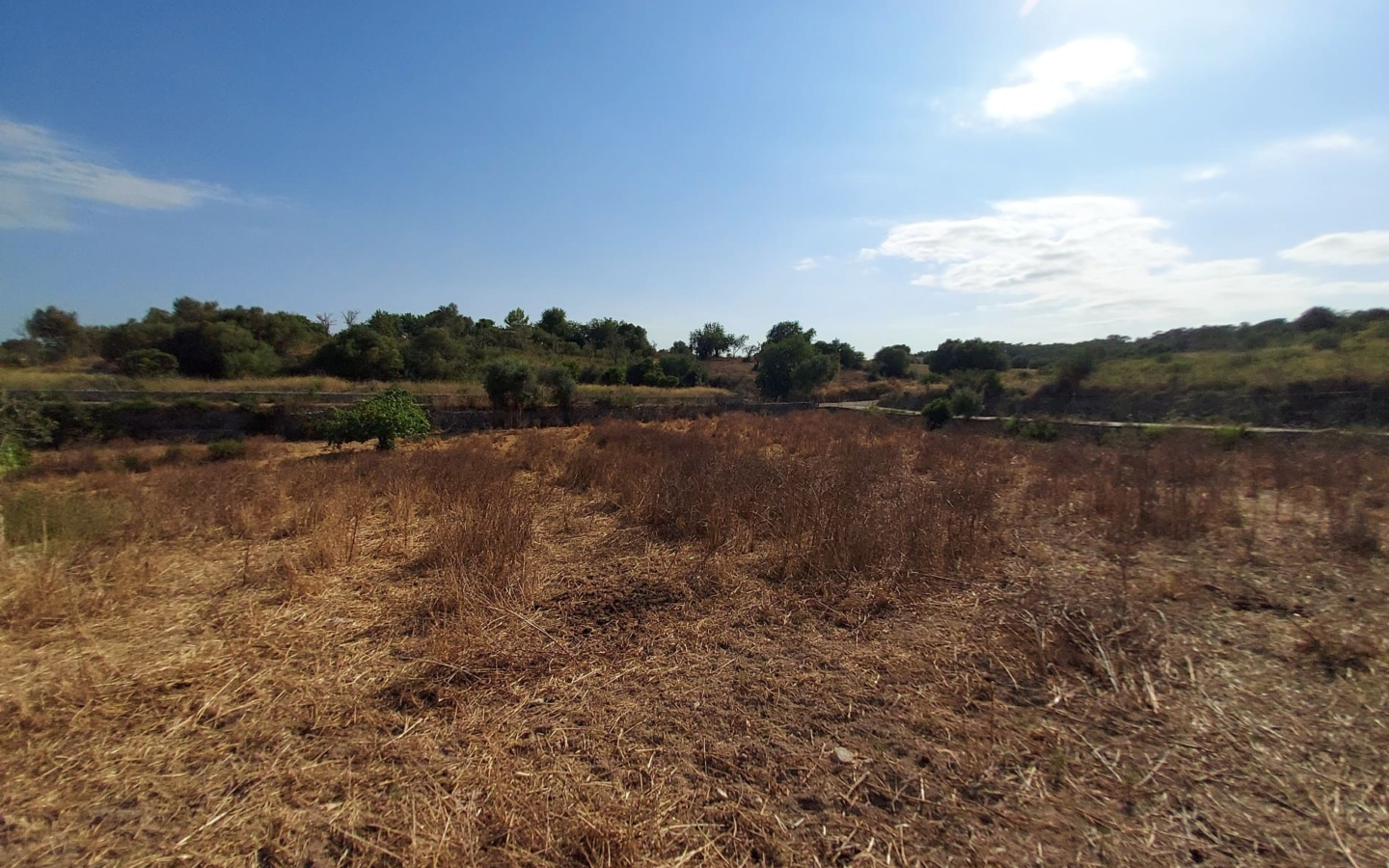Land In Maria De La Salut, Spain (141 M²)