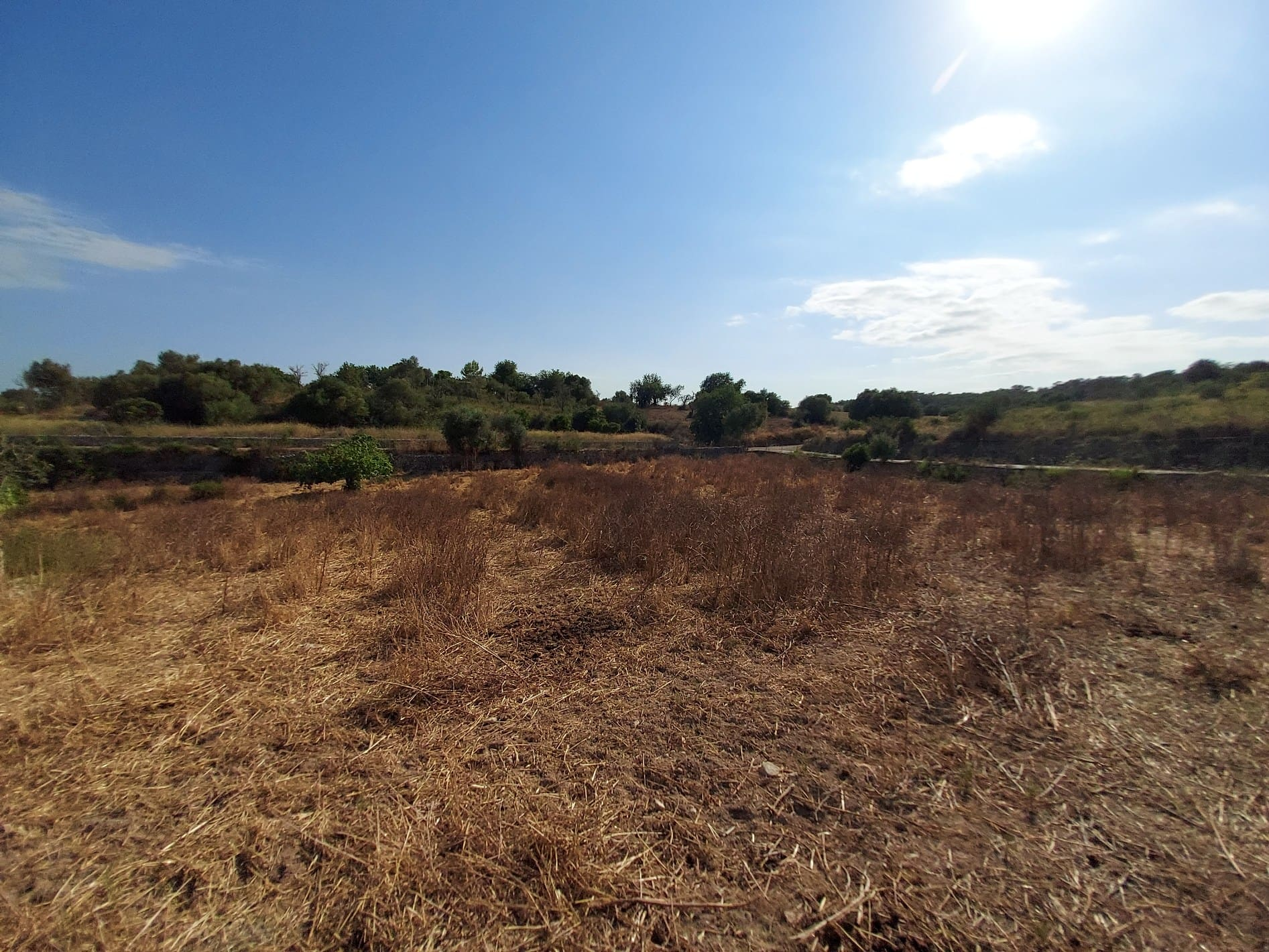 Parcela-Maria-de-la-Salut-09-4f4e98 Land In Maria De La Salut, Spain (141 M²)