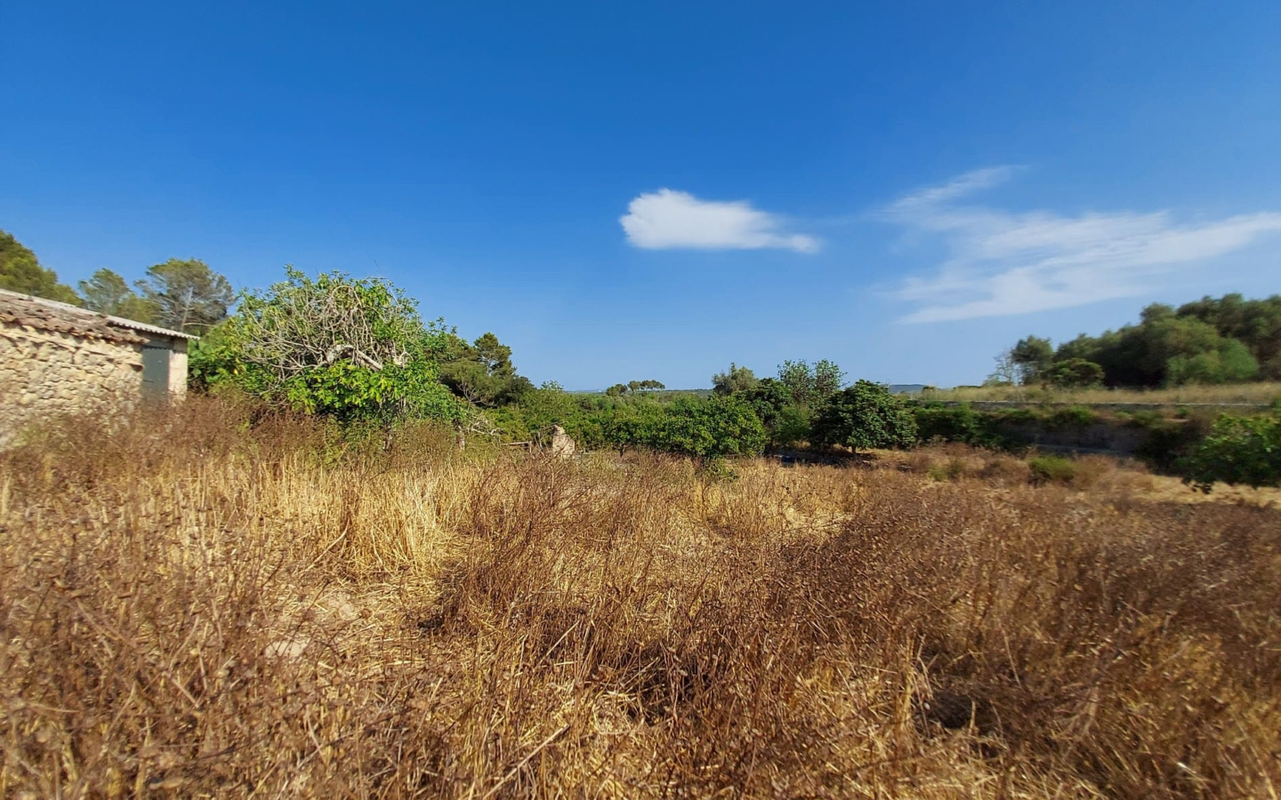 Land In Maria De La Salut, Spain (141 M²)