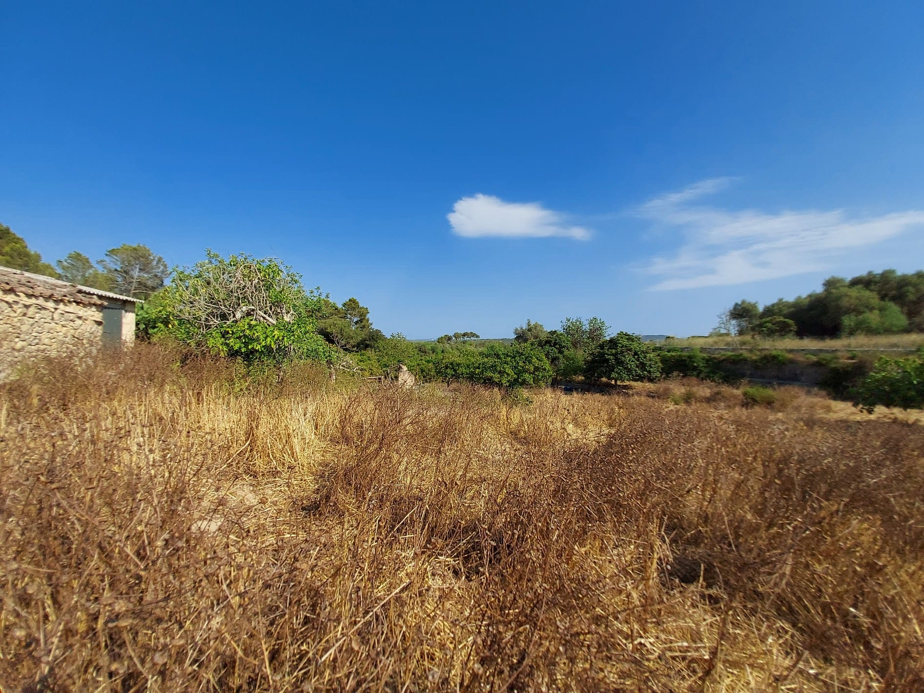 Parcela-Maria-de-la-Salut-10-27522b Land In Maria De La Salut, Spain (141 M²)