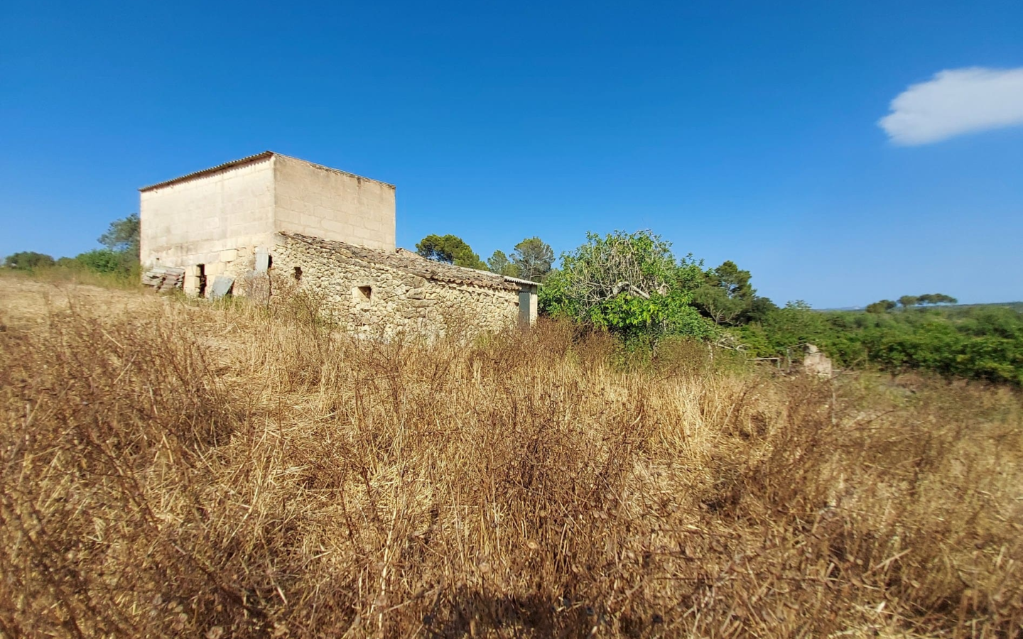 Land In Maria De La Salut, Spain (141 M²)