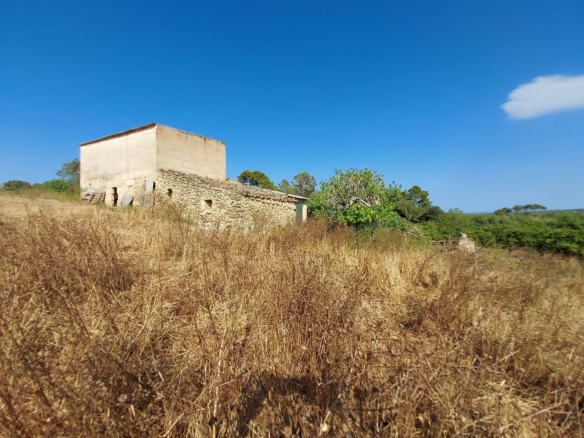 Land In Maria De La Salut, Spain (141 M²)