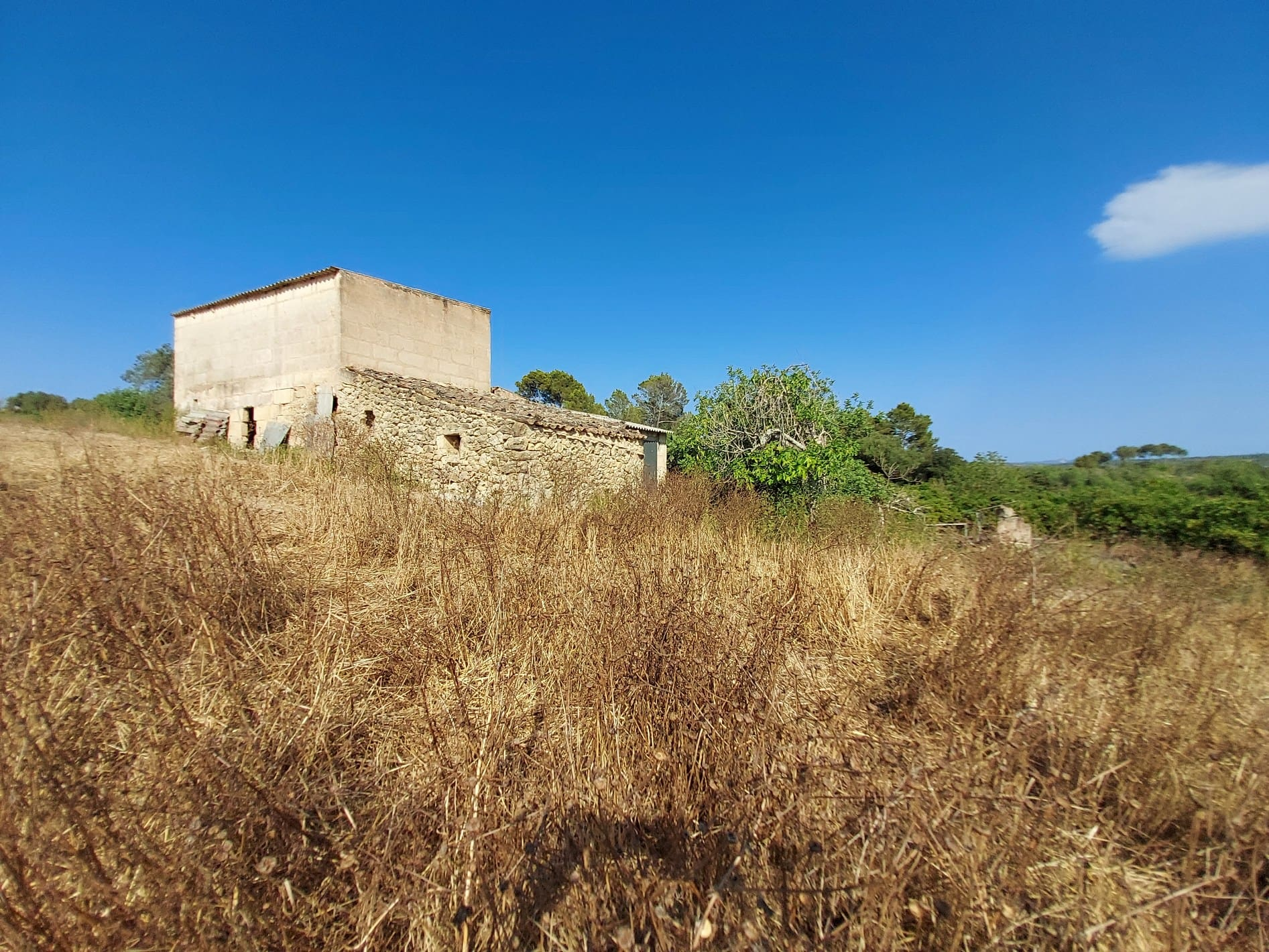 Parcela-Maria-de-la-Salut-11-b76f29 Land In Maria De La Salut, Spain (141 M²)