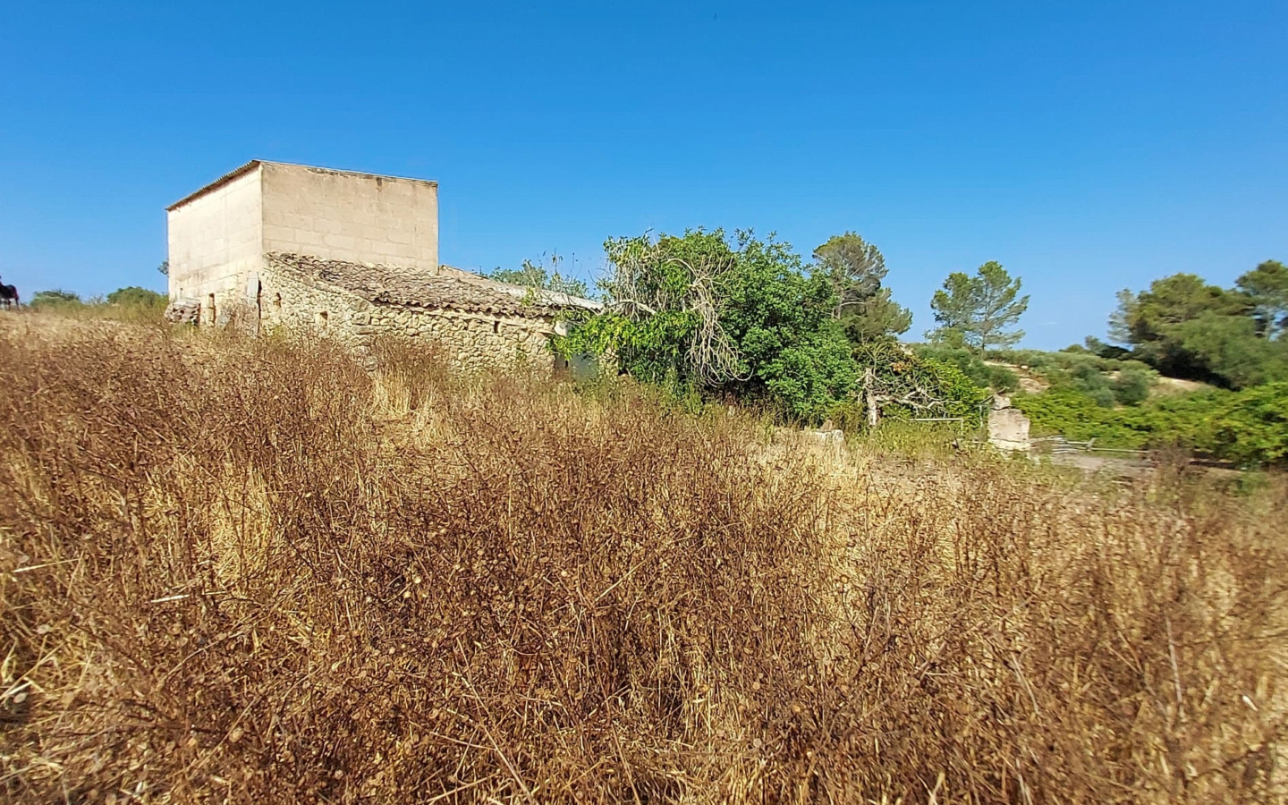 Land In Maria De La Salut, Spain (141 M²)