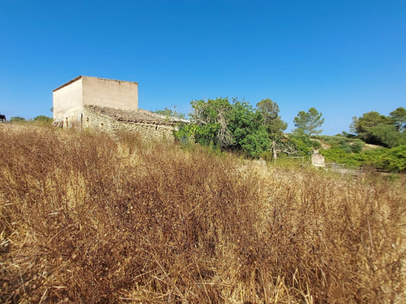 Land In Maria De La Salut, Spain (141 M²)