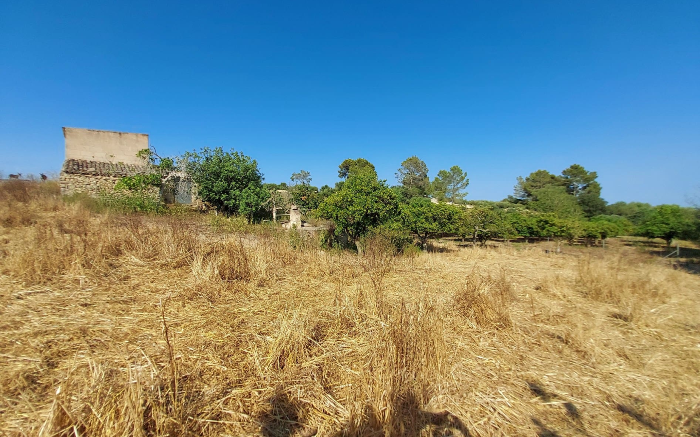 Land In Maria De La Salut, Spain (141 M²)