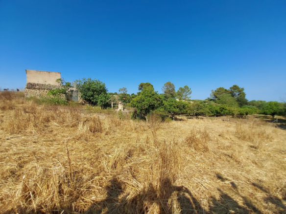 Land In Maria De La Salut, Spain (141 M²)