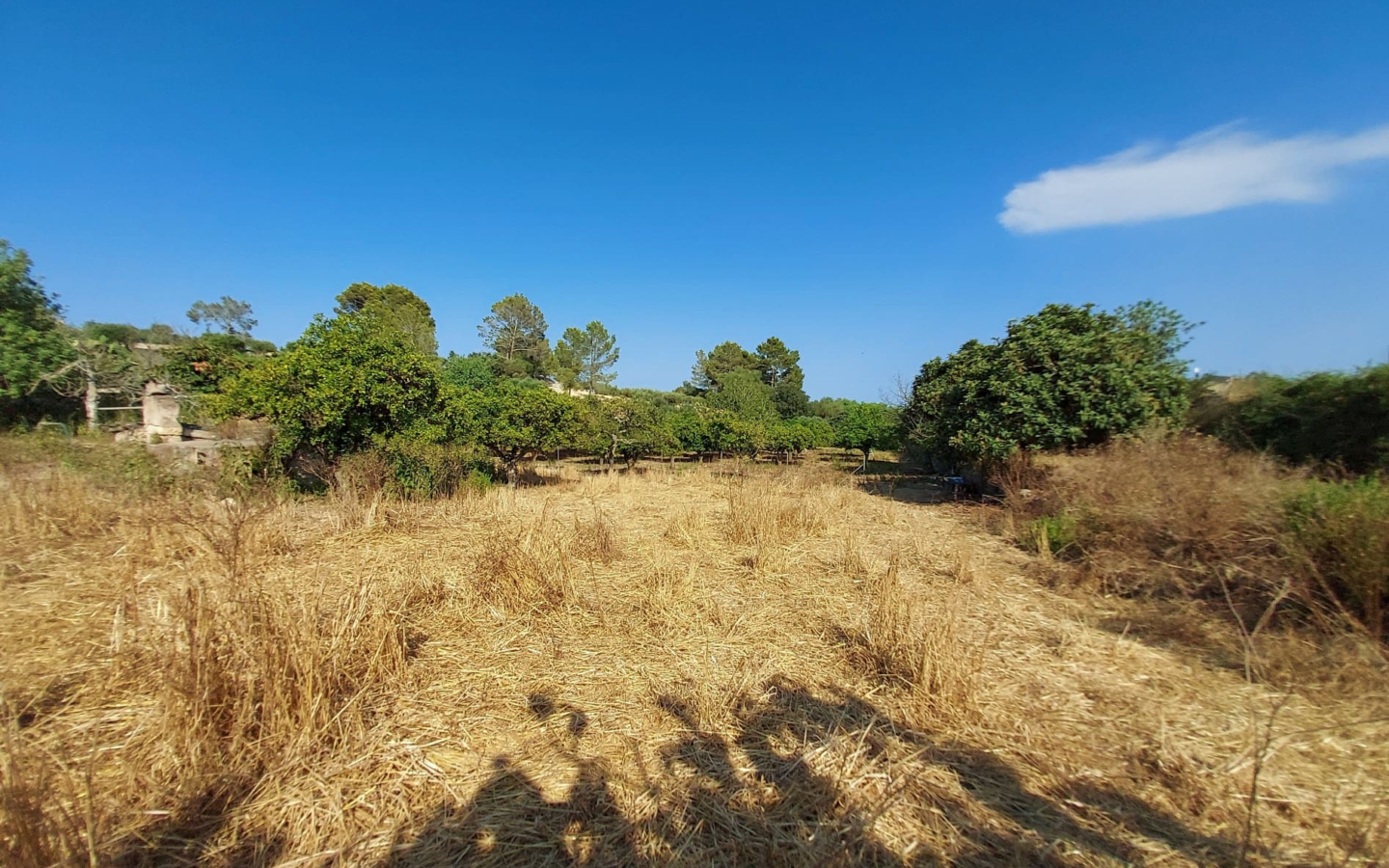 Land In Maria De La Salut, Spain (141 M²)