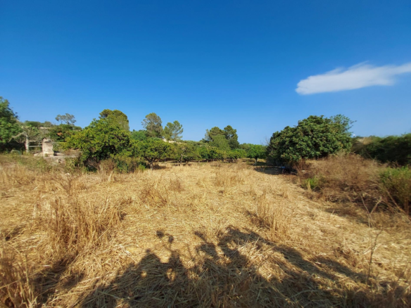 Land In Maria De La Salut, Spain (141 M²)
