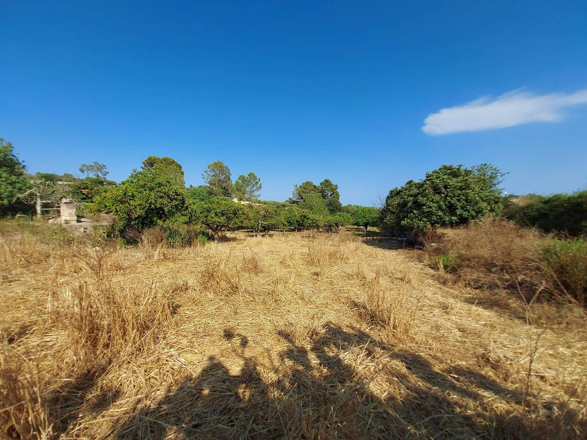 Parcela-Maria-de-la-Salut-14-3ba862 Land In Maria De La Salut, Spain (141 M²)