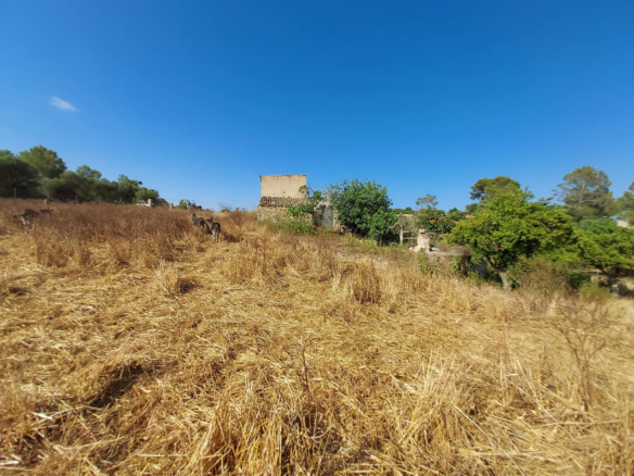 Land In Maria De La Salut, Spain (141 M²)