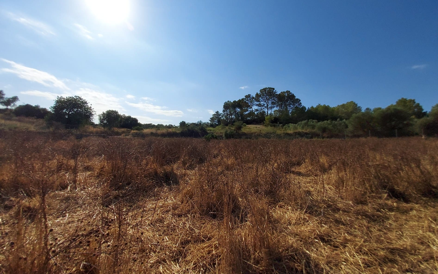 Land In Maria De La Salut, Spain (141 M²)