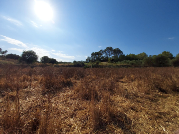 Land In Maria De La Salut, Spain (141 M²)
