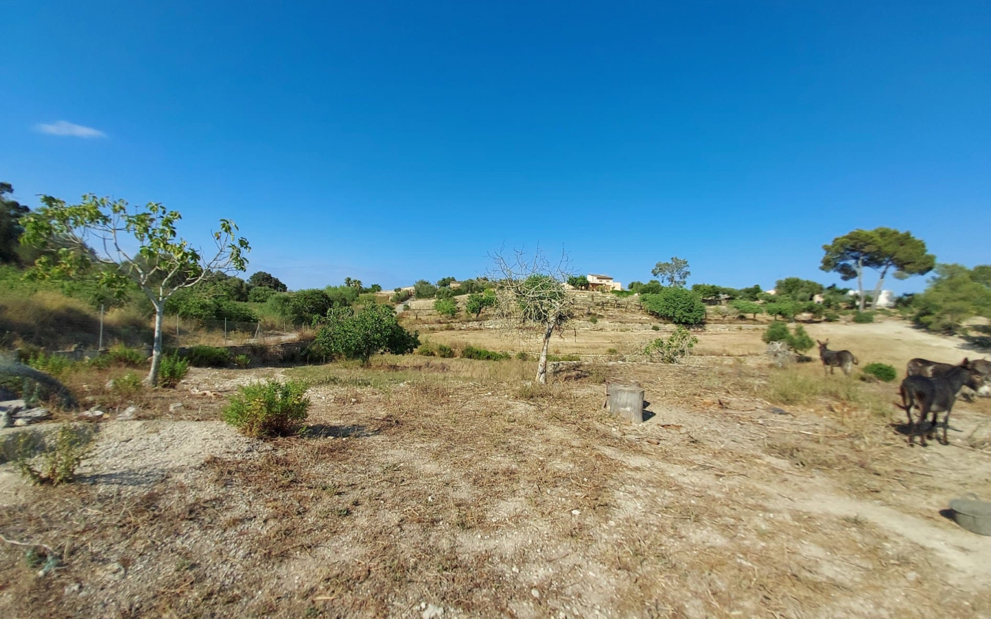 Land In Maria De La Salut, Spain (141 M²)