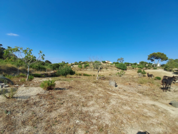 Land In Maria De La Salut, Spain (141 M²)